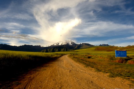 677099003311 wp 13-21-30