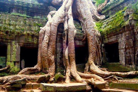 Screen Shot 2014-12-15 at 11.30.07 AM