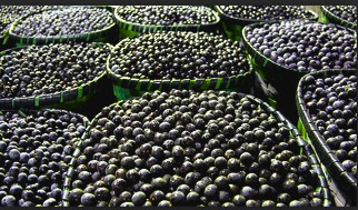 Screen Shot 2015-09-30 at 9.34.34 PM