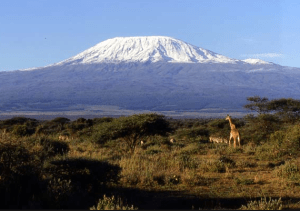 Screen Shot 2015-10-30 at 11.40.02 PM