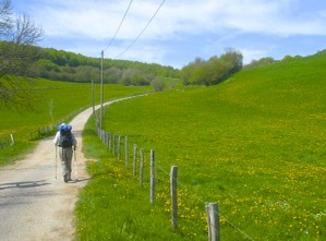 Screen Shot 2015-10-30 at 11.53.14 PM