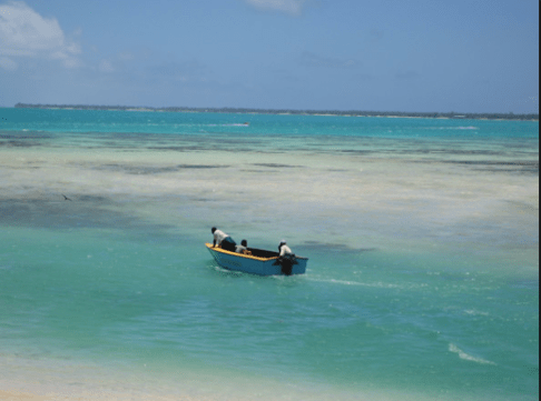 Screen Shot 2016-03-01 at 10.46.49 PM