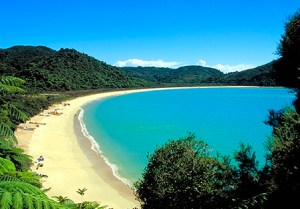 Screen Shot 2016-08-09 at 10.30.28 PM