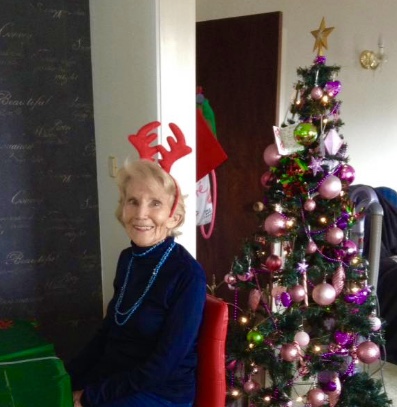 screen-shot-2016-12-23-at-3-55-08-pm