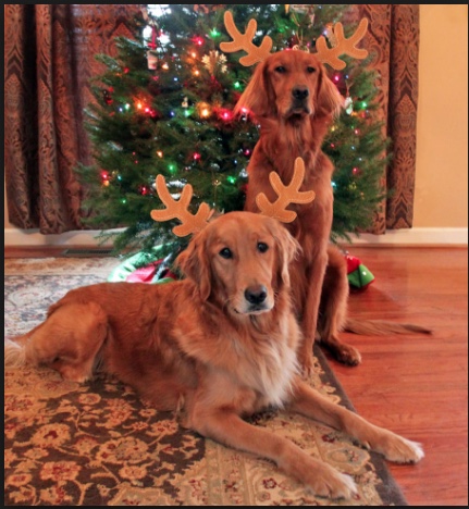 screen-shot-2016-12-23-at-3-56-40-pm