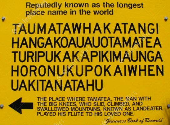screen-shot-2017-01-24-at-3-55-18-pm