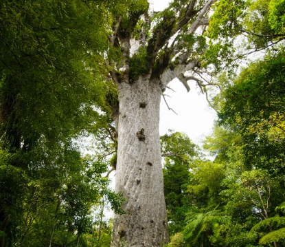 screen-shot-2017-01-25-at-10-28-49-pm