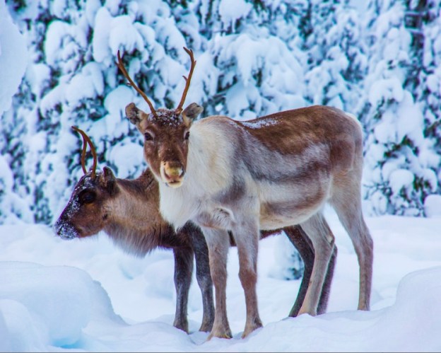 screen-shot-2017-02-22-at-7-29-18-pm