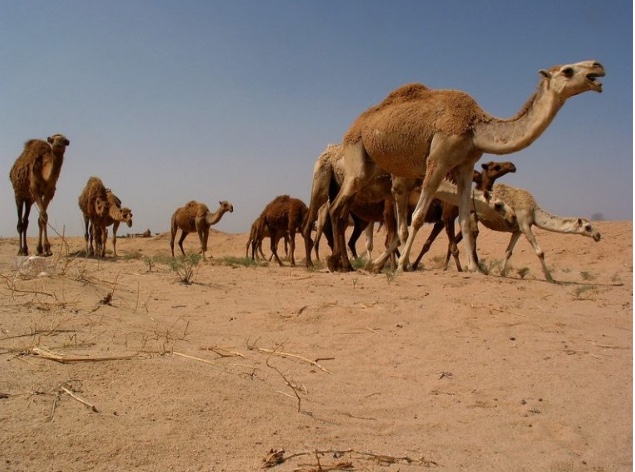 screen-shot-2017-02-23-at-6-57-33-pm