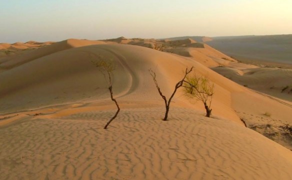 screen-shot-2017-02-23-at-7-51-12-pm